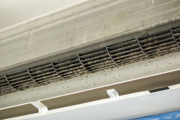 Affordable HVAC Duct Cleaning in FL